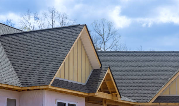 Best Roof Moss and Algae Removal  in North Webster, IN